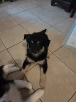 processed/9cd6b043-00c4-4b01-9d75-5865e2efe47e/listing/ef1c261e-c7f7-426d-8600-df29dbd8ce3a/b96d8fb3-cf6c-4981-b923-fc7f521276c5