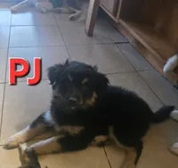 processed/9cd6b043-00c4-4b01-9d75-5865e2efe47e/listing/ef1c261e-c7f7-426d-8600-df29dbd8ce3a/dfbce3c1-609d-4c91-9e41-341d608da0d1