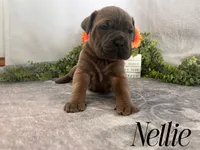 processed/9cda849c-dbc2-45de-9780-7fa0514b12be/listing/8552fb7b-3409-4fc3-be28-7c80cddebcf5/4e43c10b-a4e0-4ac0-9bea-2fa76b18010f