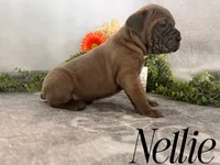 processed/9cda849c-dbc2-45de-9780-7fa0514b12be/listing/8552fb7b-3409-4fc3-be28-7c80cddebcf5/8b181097-8047-414b-b4fb-8ee3f47f9bbb