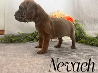 processed/9cda849c-dbc2-45de-9780-7fa0514b12be/listing/92dbf279-8bc4-4280-85b6-c54375a55c47/14a68c03-ed2e-48af-9f24-b9817a8860c7