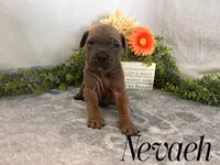 processed/9cda849c-dbc2-45de-9780-7fa0514b12be/listing/92dbf279-8bc4-4280-85b6-c54375a55c47/42a0fc08-63f4-4213-babf-1eb9368ed489