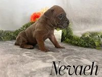 processed/9cda849c-dbc2-45de-9780-7fa0514b12be/listing/92dbf279-8bc4-4280-85b6-c54375a55c47/9b20e13b-9391-4911-ace2-7d1ea1f59918