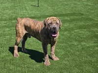 processed/9cda849c-dbc2-45de-9780-7fa0514b12be/listing/9a9bd0c3-8de2-4077-bd99-354dc2deae72/c364b98f-43a5-46fe-af2e-1f6d8afd80a6