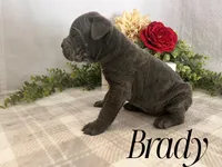 processed/9cda849c-dbc2-45de-9780-7fa0514b12be/listing/d68efd15-967e-4fe2-bc36-0747f280a6ba/31b7a2c7-386f-41ec-a737-eb24437b198c