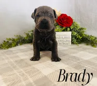 processed/9cda849c-dbc2-45de-9780-7fa0514b12be/listing/d68efd15-967e-4fe2-bc36-0747f280a6ba/be93b5d2-be87-48df-8e15-18d8bf4dcce0