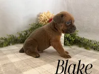 processed/9cda849c-dbc2-45de-9780-7fa0514b12be/listing/df13d5fa-449b-4d21-8501-689ddcc49a2c/15ad9e7b-3f24-47ae-bed8-237f8de46777