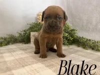 processed/9cda849c-dbc2-45de-9780-7fa0514b12be/listing/df13d5fa-449b-4d21-8501-689ddcc49a2c/e8a6da66-c2cd-4494-b8be-c1294610e36c