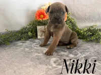 processed/9cda849c-dbc2-45de-9780-7fa0514b12be/listing/ffc6a201-191c-4b66-b3d1-df0b96a03d72/0ba69868-c71e-49eb-b2d1-2fa5508c1204