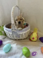 processed/9cde6532-6b77-4ebc-9a06-66682330c6c3/facility/9d4670bf-e032-4427-bf12-973be5fca64d