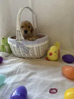 processed/9cde6532-6b77-4ebc-9a06-66682330c6c3/facility/f5777947-662e-48f6-b14c-18f55e373cd9