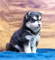 processed/9ce7d6b9-2af2-4667-831f-5752f1c5b9cd/listing/6dfada1c-a77c-4fea-abae-5e71892f3934/432c51d8-1dc1-4aff-aaa5-4a811387f705