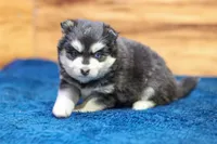 processed/9ce7d6b9-2af2-4667-831f-5752f1c5b9cd/listing/6dfada1c-a77c-4fea-abae-5e71892f3934/79d936a4-fc42-4a0d-b4cb-230574ecf11c