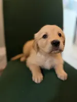 processed/9ce8d92b-75ca-46be-90b2-ecf732685f57/listing/cb8dabfe-1080-4516-b848-8093cd085f00/1011fde7-7249-40c3-af89-1dc7b3c904a6