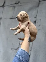 processed/9ce8d92b-75ca-46be-90b2-ecf732685f57/listing/cb8dabfe-1080-4516-b848-8093cd085f00/11e1f5ea-f6b9-4689-bb58-74c210cb9e74