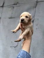 processed/9ce8d92b-75ca-46be-90b2-ecf732685f57/listing/cb8dabfe-1080-4516-b848-8093cd085f00/4bccaf06-60be-461d-99a1-a96ba9bd9ac4