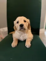 processed/9ce8d92b-75ca-46be-90b2-ecf732685f57/listing/cb8dabfe-1080-4516-b848-8093cd085f00/d880c78d-4f7c-4cec-bfb3-35accc71478f