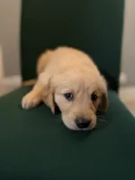 processed/9ce8d92b-75ca-46be-90b2-ecf732685f57/listing/cb8dabfe-1080-4516-b848-8093cd085f00/ee4844fc-ab49-4a1a-99f3-eae1759a5426