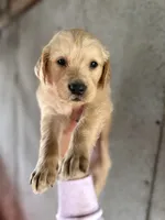 processed/9ce8d92b-75ca-46be-90b2-ecf732685f57/listing/cb8dabfe-1080-4516-b848-8093cd085f00/fd0fb0c7-f682-43fa-b19e-2273496caf73