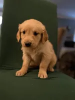 processed/9ce8d92b-75ca-46be-90b2-ecf732685f57/listing/f8e7d238-63ad-4d42-a521-590e092cccd0/136063d1-50cb-4b98-b7a2-2a82c0c7ab95