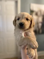 processed/9ce8d92b-75ca-46be-90b2-ecf732685f57/listing/f8e7d238-63ad-4d42-a521-590e092cccd0/48ad0f1a-1f08-4dac-a99d-c76a7bca8308