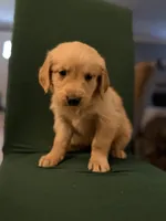 processed/9ce8d92b-75ca-46be-90b2-ecf732685f57/listing/f8e7d238-63ad-4d42-a521-590e092cccd0/530689da-221f-49db-ac21-d67c79a4adce