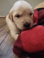 processed/9cf369ed-c437-42e6-9f7d-bdd637e0cbae/listing/a04c2681-ac2f-41db-8ca5-67467008ed74/95126c38-d45c-4281-9795-7741882f3f33