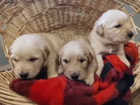 processed/9cf369ed-c437-42e6-9f7d-bdd637e0cbae/listing/a04c2681-ac2f-41db-8ca5-67467008ed74/c420d0b6-102b-4e64-8084-646c1e60fc59