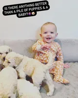 processed/9cf9d34a-7723-447d-9661-b21c42444917/facility/2f104456-df5a-4e95-aa8e-276ae7dfe417