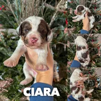 processed/9cf9d34a-7723-447d-9661-b21c42444917/listing/546c89ec-fde5-4173-9654-dc7aab174897/5de4a1c8-1093-4282-97f9-92a5b507756f