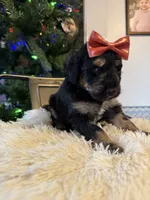 processed/9cf9d34a-7723-447d-9661-b21c42444917/listing/58b9bc06-5803-4a1f-aa5e-01b8df7a52fc/4658b872-8687-40dc-b83c-8625d6d51d10