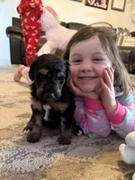 processed/9cf9d34a-7723-447d-9661-b21c42444917/listing/58b9bc06-5803-4a1f-aa5e-01b8df7a52fc/52ef50d6-282a-44cc-9d19-cad4f488ade3