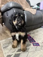 processed/9cf9d34a-7723-447d-9661-b21c42444917/listing/58b9bc06-5803-4a1f-aa5e-01b8df7a52fc/74fde05b-a958-4629-a8f1-dd8dfc79131d