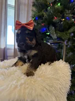 processed/9cf9d34a-7723-447d-9661-b21c42444917/listing/58b9bc06-5803-4a1f-aa5e-01b8df7a52fc/be3cffff-c2af-43aa-91c5-c0897866fa24