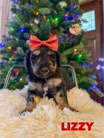 processed/9cf9d34a-7723-447d-9661-b21c42444917/listing/58b9bc06-5803-4a1f-aa5e-01b8df7a52fc/df5ce596-9538-4449-95e4-4ea57a7946e2