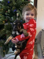 processed/9cf9d34a-7723-447d-9661-b21c42444917/listing/58b9bc06-5803-4a1f-aa5e-01b8df7a52fc/f6002a6a-143f-41b7-8a0c-d9d7f94aef8b