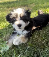 processed/9cf9d34a-7723-447d-9661-b21c42444917/listing/5e999398-deda-4c55-a8ab-b480a8ba204b/1b9fb5a2-0092-42e0-87cc-afe40f403e06