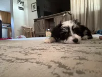 processed/9cf9d34a-7723-447d-9661-b21c42444917/listing/5e999398-deda-4c55-a8ab-b480a8ba204b/6dbed9d6-daf6-41ec-aff4-850dbc5b6fde