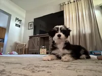 processed/9cf9d34a-7723-447d-9661-b21c42444917/listing/5e999398-deda-4c55-a8ab-b480a8ba204b/bea3ad0c-38e3-4871-9498-bee689f57db3