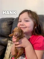 processed/9cf9d34a-7723-447d-9661-b21c42444917/listing/78b1e8e6-ae82-42b1-bdb1-442e6b761cb2/02863bbe-9eb0-414b-8daf-be69b05bdf85