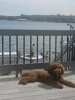 processed/9cf9d34a-7723-447d-9661-b21c42444917/listing/78b1e8e6-ae82-42b1-bdb1-442e6b761cb2/44b10a20-54b3-49a6-a10d-5428468ce427