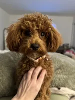 processed/9cf9d34a-7723-447d-9661-b21c42444917/listing/78b1e8e6-ae82-42b1-bdb1-442e6b761cb2/8e6ae79a-4b73-4a09-a89c-35348823c231