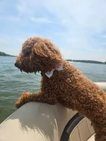 processed/9cf9d34a-7723-447d-9661-b21c42444917/listing/78b1e8e6-ae82-42b1-bdb1-442e6b761cb2/c4945a77-c79d-435f-9ac8-b7a46f76849f