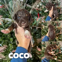 processed/9cf9d34a-7723-447d-9661-b21c42444917/listing/92f221db-eff8-4bdc-a389-9911694e26c4/02b6364a-a245-4082-92c7-890b653ac845