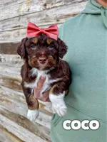 processed/9cf9d34a-7723-447d-9661-b21c42444917/listing/92f221db-eff8-4bdc-a389-9911694e26c4/e4eff534-5ec8-4659-9252-4a60bd050dc3