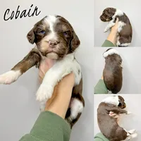 processed/9cf9d34a-7723-447d-9661-b21c42444917/listing/98f7acb6-2c46-405e-b343-efab8d5a65b6/0125d069-c5d8-4c77-bc46-cc6f5ce4c5e9