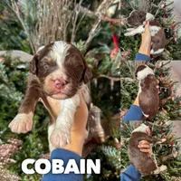 processed/9cf9d34a-7723-447d-9661-b21c42444917/listing/98f7acb6-2c46-405e-b343-efab8d5a65b6/16ac7e30-d7e2-451b-aace-d45d75ec64f3