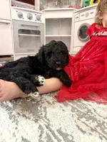 processed/9cf9d34a-7723-447d-9661-b21c42444917/listing/e547b209-6f2f-49b7-b109-c76511ed5ed6/0f699f5e-3ab3-486d-bbc6-39f811eeda9f