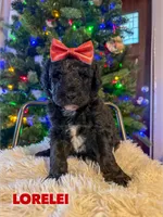 processed/9cf9d34a-7723-447d-9661-b21c42444917/listing/e547b209-6f2f-49b7-b109-c76511ed5ed6/1b8b4137-84b0-423a-bff0-63be48b92ec8