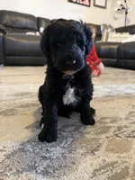 processed/9cf9d34a-7723-447d-9661-b21c42444917/listing/e547b209-6f2f-49b7-b109-c76511ed5ed6/2c713c7b-deda-4f9e-97fb-c0ec7f86cc48